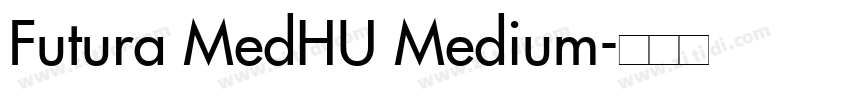 Futura MedHU Medium字体转换